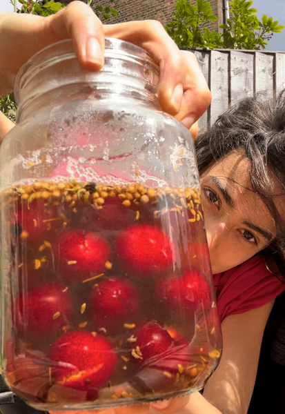 Pickled Cherries Recipe by India Stibilj