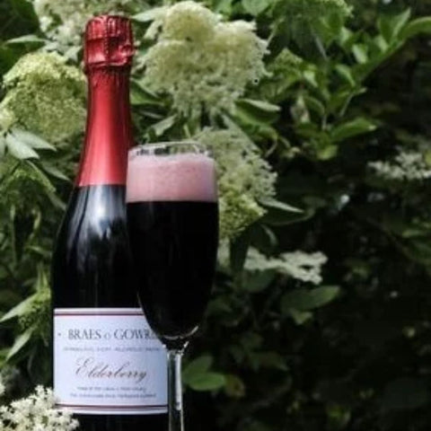 Cairn O'Mohr Braes o' Gowrie Sparkling Elderberry Drink, 75cl
