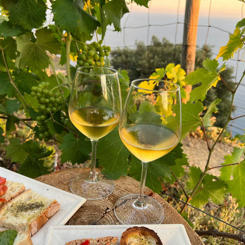 two glasses of zagare vermentino with food and behind a winery
