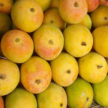 Load image into Gallery viewer, Fresh Alponso Mangos from India, king of mangos
