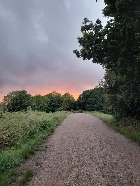 Discover Flavour Fred’s Foraging Adventures on Parkland Walk