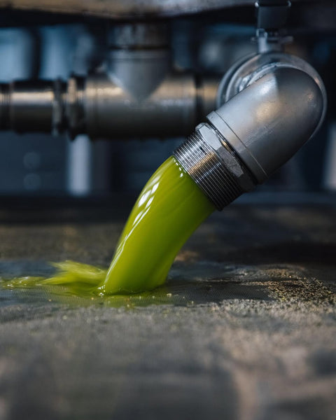 Dark green unfiltered olive oil pouring out of a pipe