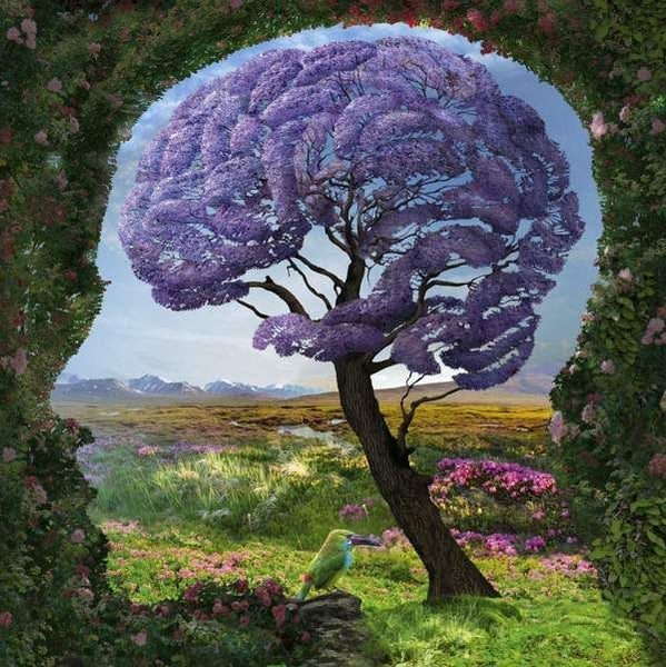 Nature and the Brain