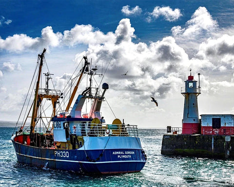 Sound Seafood: A British tinned fish company mussel-ing in on the tinned fish revolution