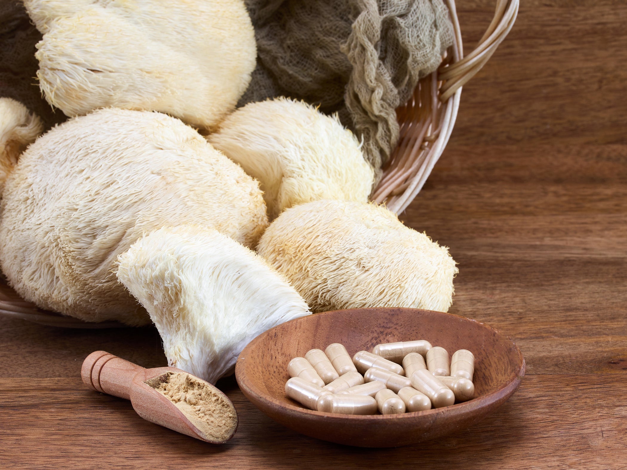 Lion's Mane Mushroom Extract