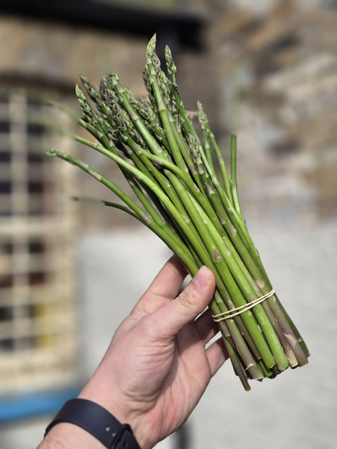 Organic Asparagus bunch (Hampshire)