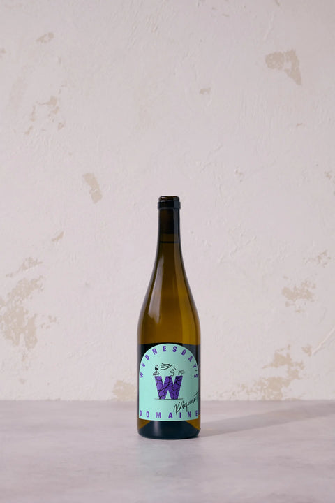 A single bottle of Riesling wine from the brand Domain, featuring a light green label with a purple 'W' logo, standing on a light surface against a textured off-white wall.