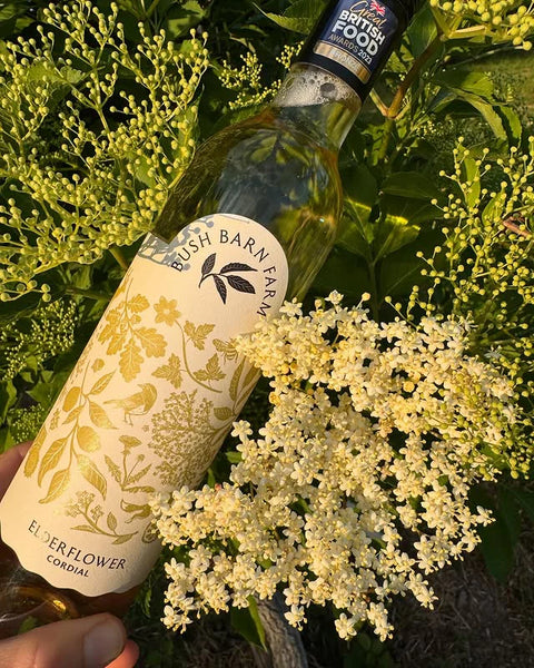 Bottle of Bush Barn Farm Elderflower Cordial with elderflowers in a natural setting