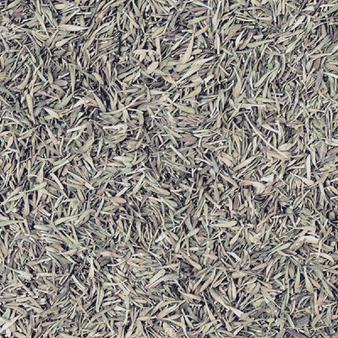 close up of organic thyme