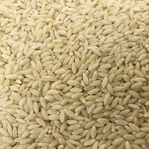close up of orzo