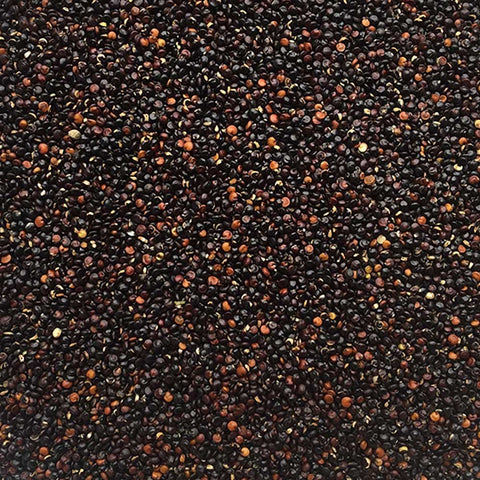 close up of black grain quinoa