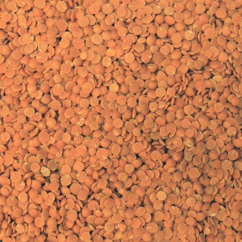 close up of red split lentils