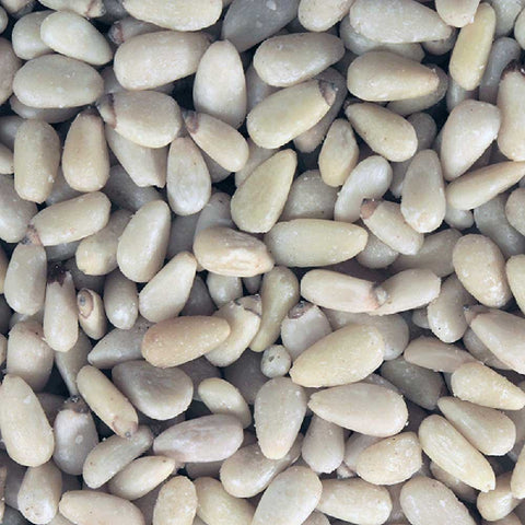 close up of pine kernels