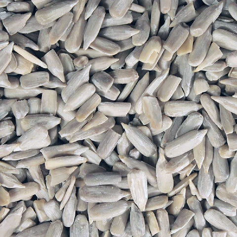 close up of sunflower seeds
