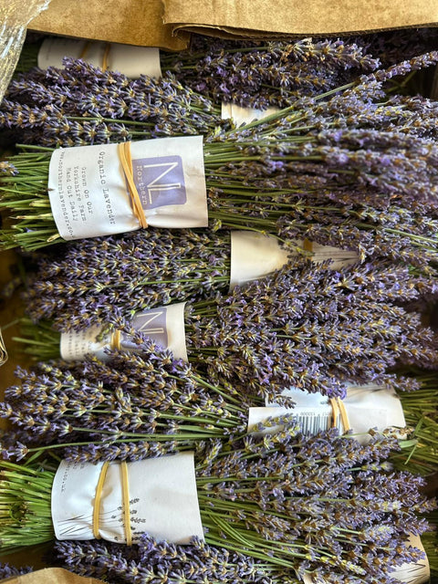 Northern Lavender - Lavender Bunch