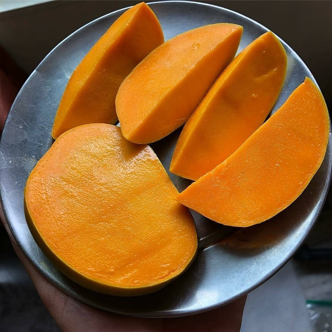 alphonso mango