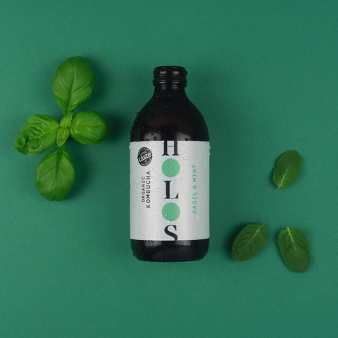 Kombucha bottle with mint and basil on green background
