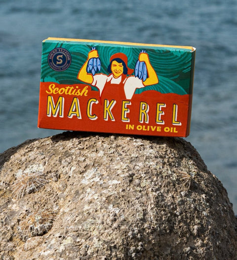 UK tinned fish scottish mackerel fillets