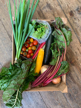 Load image into Gallery viewer, Medium Seasonal Vegetable Box: Organic practices Cambridge
