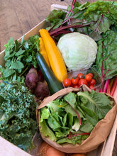 Load image into Gallery viewer, Large Seasonal Vegetable Box: Organic practices Cambridge
