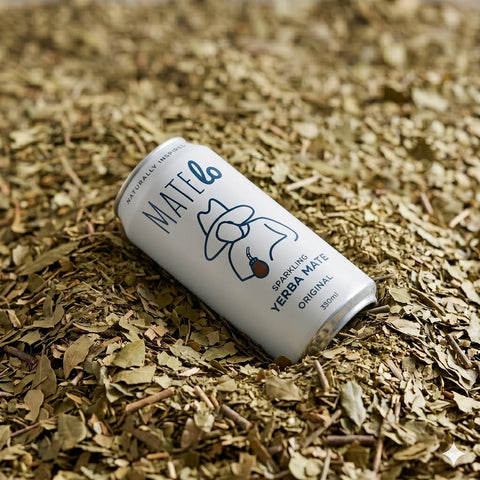 Can of Matea sparkling yerba mate on a bed of dried leaves