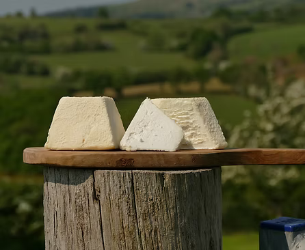 cheese on a wooden board in front of nature