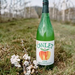 One Glass bottle of Cox  Apple Juice 1L