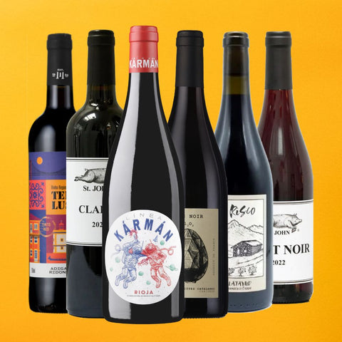 Red Wine Selection - 6 bottles