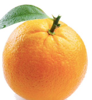One Fresh Orange