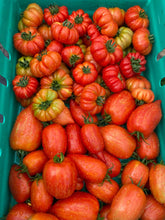 Load image into Gallery viewer, Medium Seasonal Vegetable Box: Organic practices Cambridge
