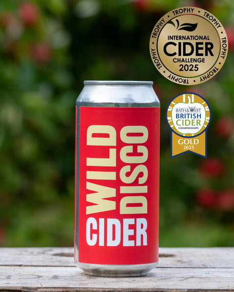 can of wild disco cider