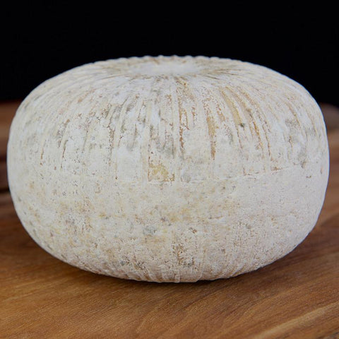A round, textured stone or rock specimen with a natural weathered surface, resting on a wooden surface against a dark background.