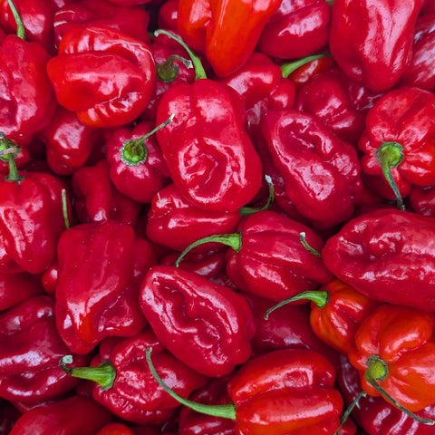 Habanero chillies