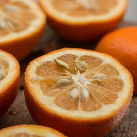 Seville Oranges (3)