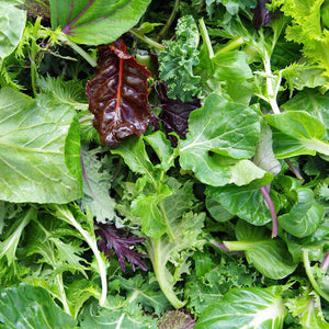 Organic Salad Leaves 100g