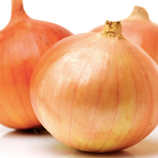 Onions (3)