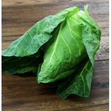 Load image into Gallery viewer, Kent Sweet Heart Cabbage (Hispy Cabbage)
