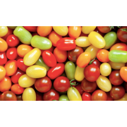 Isle of Wight Pick and Mix Tomatoes 400g