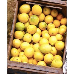 Beldi Preserved Lemons