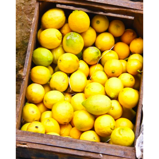 Beldi Preserved Lemons