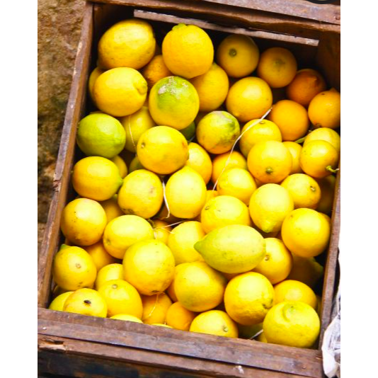 Belazu Beldi Preserved Lemons