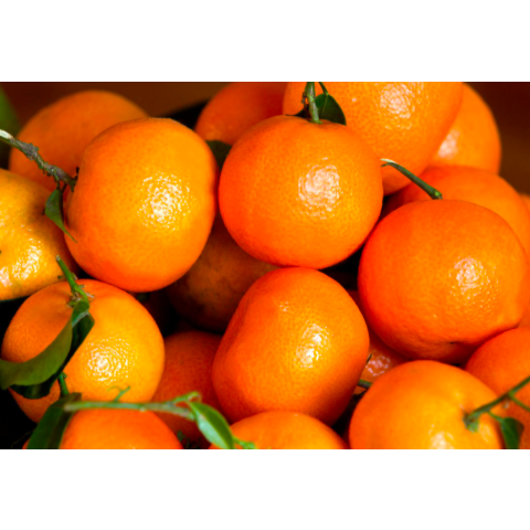 Delicious Clementines (3)