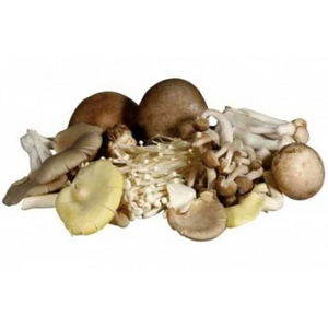 Mixed Wild Mushroom Variety Box 250g