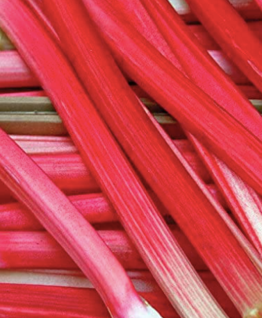 Yorkshire Forced Rhubarb 500g