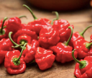 Scotch Bonnet 100g