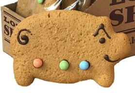 Ginger Bread Pig 50g