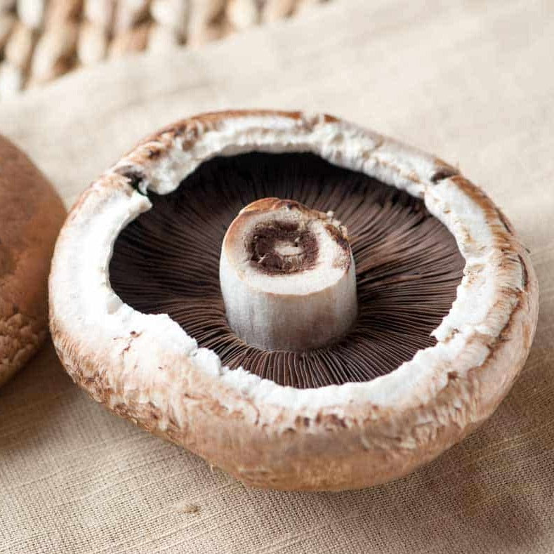 Portobello Mushroom (3)