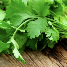Load image into Gallery viewer, Coriander Bunch
