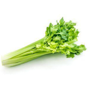 Giant Celery