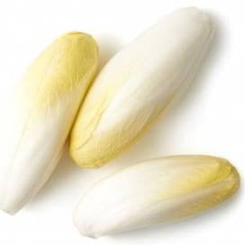 One Chicory (Endive)